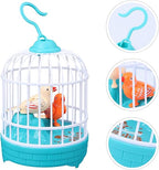 Electric Talking & Singing Birds ( UAE Delivery Time: 1-3 Days )